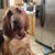 Tracy Westrum's profile image