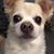 Celane Hubbard-Holloman's profile image