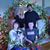 Brenda Pitlik Clark's profile image