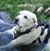 Rebecca Fleming's profile image