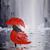 Wynona Stroud's profile image