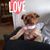 Mark Stanow's profile image