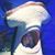 Rachael Justis's profile image
