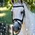 Sue S. Vanderlinden's profile image