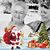 Donna Oswell's profile image