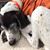 Julie Griswold's profile image