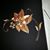 Danciu Ionica's profile image