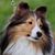 Tammy Tremblay's profile image