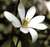 Pooja M.'s profile image