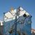 Gray Moser's profile image