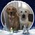 Darlene Thomas's profile image