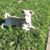 Mari Cuevas Carlos's profile image