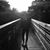 Malia Mergel's profile image