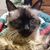 Kim Elson Chapman's profile image