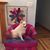 Lois Georgi Weissberg's profile image