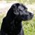Amy Rumphrey Mooney's profile image
