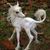 Mike Grogan's profile image
