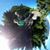 Diane Hood's profile image