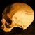Joseph-Mykal Le's profile image