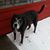 Melodee Bergstrom Slaughter's profile image
