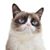 Don Larson's profile image