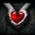 Dana Leber's profile image