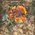 Mary Cramer's profile image