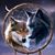Tricia Andrzejewski's profile image