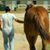 Renee Verette's profile image