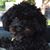 Mary Christine Wallace Mitchell's profile image