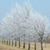 Renee Southerland's profile image