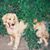 Mike Zabbo's profile image