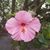 Brandy Starks's profile image