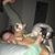 Amber Lindeman's profile image