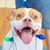 Jerry Findley's profile image