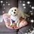 Diane Kanehl's profile image
