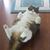 Jen Flederbach's profile image