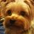 Nancy Moore Haskett's profile image
