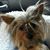 Steven N Gretchen Kelly's profile image