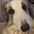 Mary Ann Ponder Cook's profile image