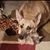 Rita Capo's profile image