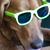 Kathy Fish's profile image