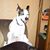 Jackie Cofield's profile image