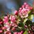 Lori Ross Koby's profile image