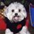 David Hall's profile image