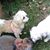 Terri Peterson Curran's profile image