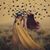 Ali Syarif's profile image