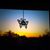 Joey Enslin Barnes's profile image