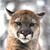 Peggy Druar's profile image