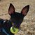 Juliet M Walker's profile image